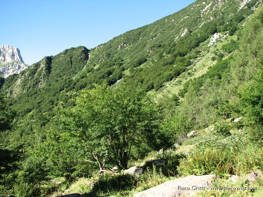 Valcorte 041.jpg - Ecco la zona dove il gregge pascola e l'orso staziona e fa strage